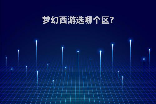 梦幻西游选哪个区?