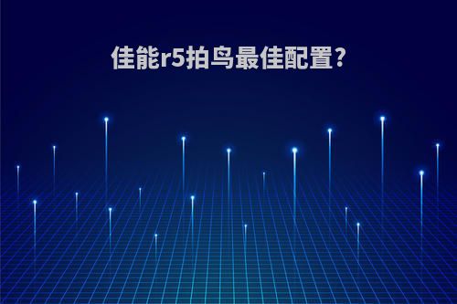 佳能r5拍鸟最佳配置?