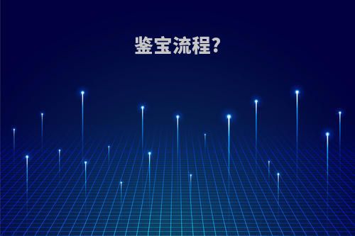 鉴宝流程?