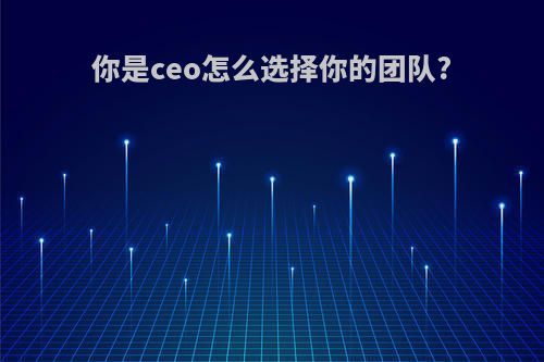 你是ceo怎么选择你的团队?