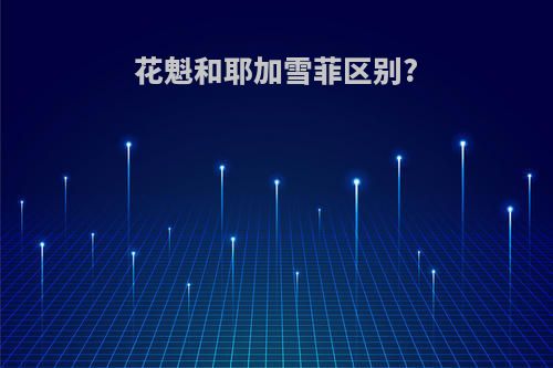 花魁和耶加雪菲区别?