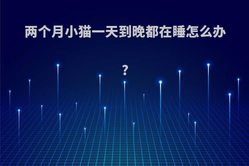 两个月小猫一天到晚都在睡怎么办?