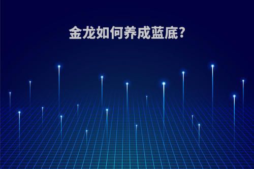 金龙如何养成蓝底?