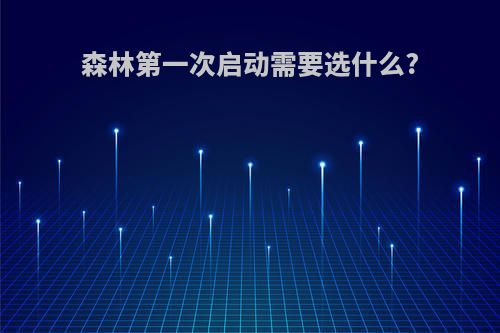 森林第一次启动需要选什么?
