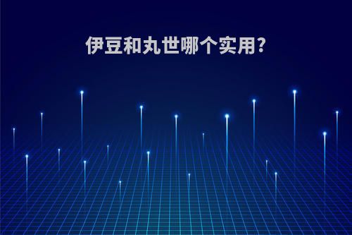 伊豆和丸世哪个实用?