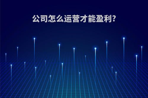 公司怎么运营才能盈利?