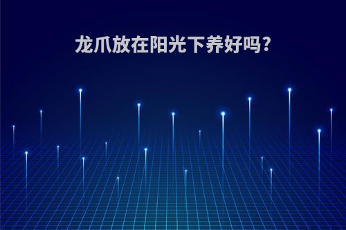 龙爪放在阳光下养好吗?