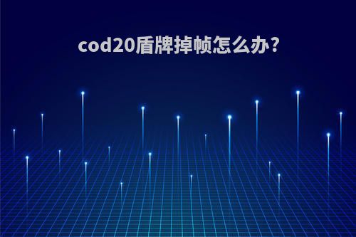 cod20盾牌掉帧怎么办?