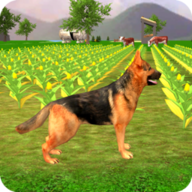 牧羊犬模拟2020