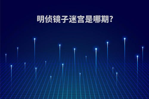 明侦镜子迷宫是哪期?