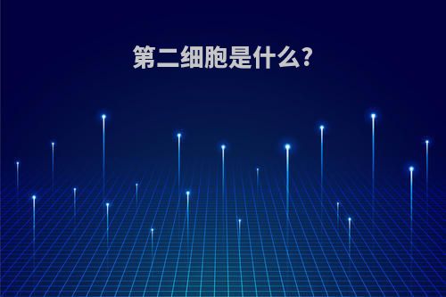 第二细胞是什么?