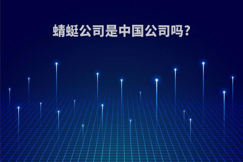 蜻蜓公司是中国公司吗?