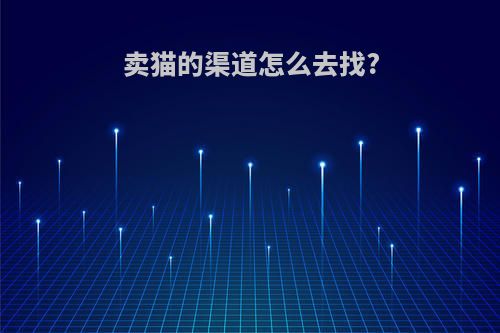 卖猫的渠道怎么去找?