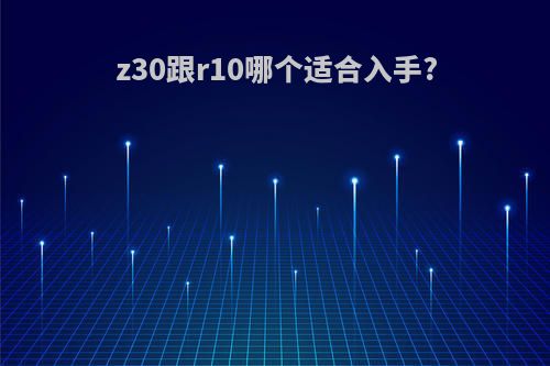 z30跟r10哪个适合入手?