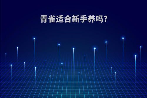 青雀适合新手养吗?