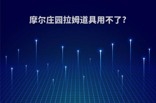 摩尔庄园拉姆道具用不了?