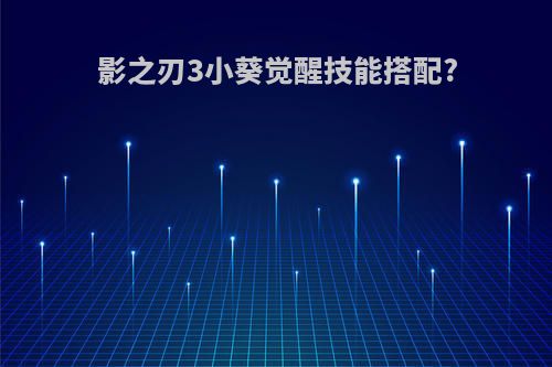 影之刃3小葵觉醒技能搭配?