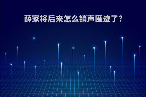 薛家将后来怎么销声匿迹了?