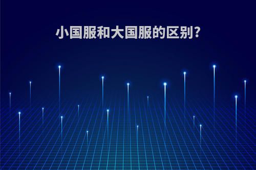 小国服和大国服的区别?