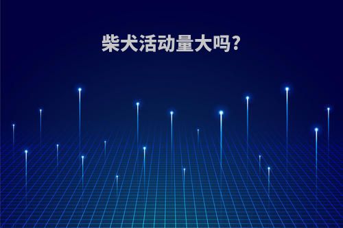 柴犬活动量大吗?