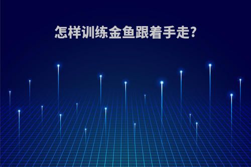 怎样训练金鱼跟着手走?