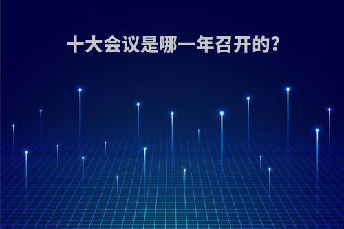 十大会议是哪一年召开的?