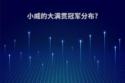 小威的大满贯冠军分布?
