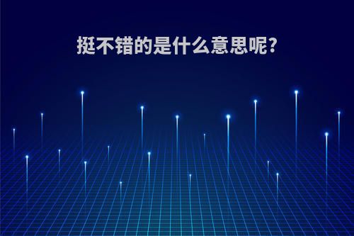 挺不错的是什么意思呢?