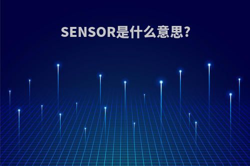 SENSOR是什么意思?