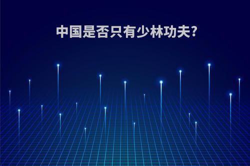 中国是否只有少林功夫?