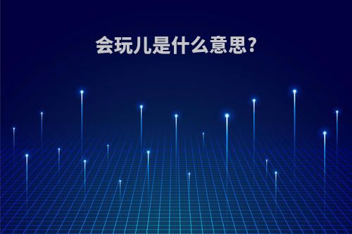 会玩儿是什么意思?