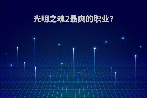 光明之魂2最爽的职业?