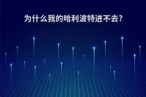 为什么我的哈利波特进不去?