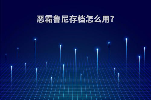恶霸鲁尼存档怎么用?