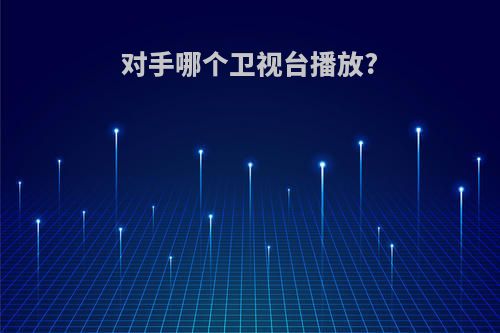 对手哪个卫视台播放?