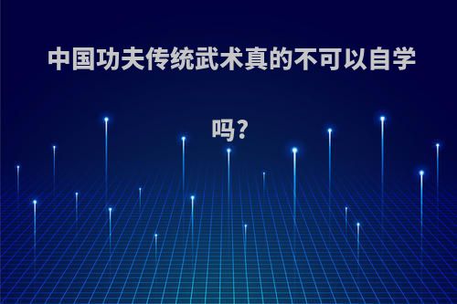 中国功夫传统武术真的不可以自学吗?