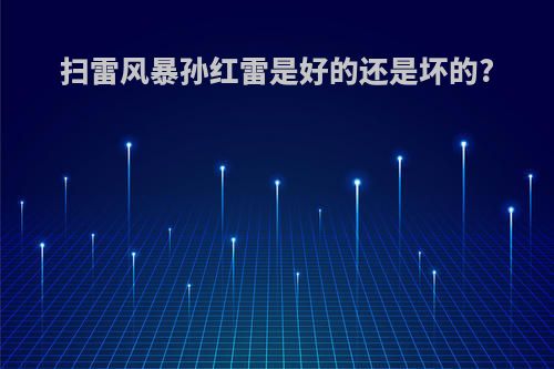 扫雷风暴孙红雷是好的还是坏的?