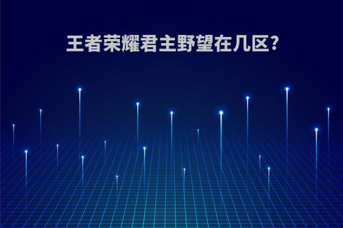 王者荣耀君主野望在几区?