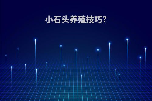 小石头养殖技巧?