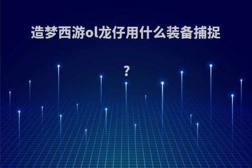 造梦西游ol龙仔用什么装备捕捉?