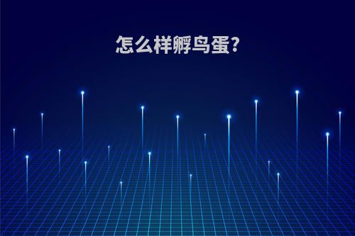 怎么样孵鸟蛋?