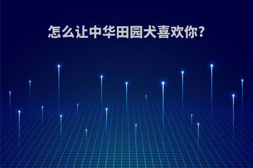 怎么让中华田园犬喜欢你?
