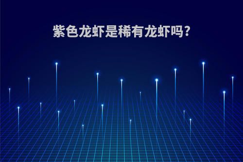 紫色龙虾是稀有龙虾吗?