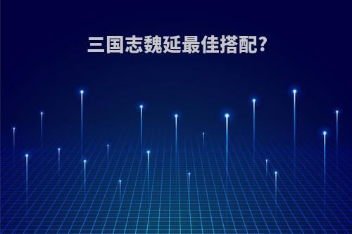 三国志魏延最佳搭配?