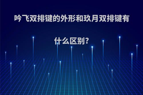 吟飞双排键的外形和玖月双排键有什么区别?