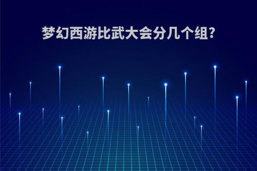 梦幻西游比武大会分几个组?