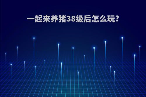 一起来养猪38级后怎么玩?