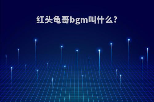 红头龟哥bgm叫什么?
