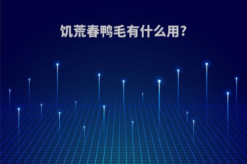 饥荒春鸭毛有什么用?