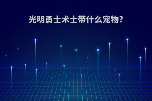 光明勇士术士带什么宠物?